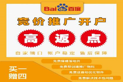 某某sem推广公司实战案例：精准投放提升转化率